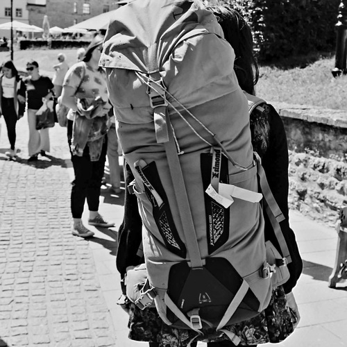 Photo #13806537