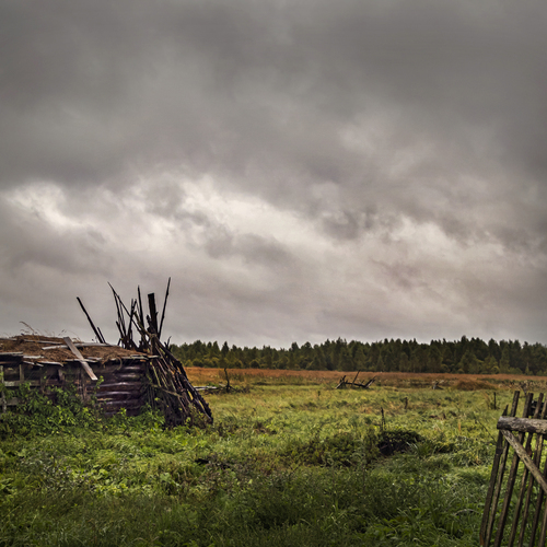 Photo #13806614