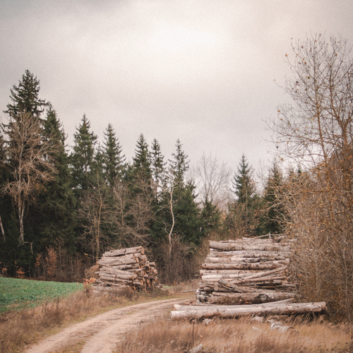 Photo #13806616