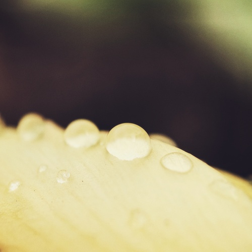 Photo #13806648