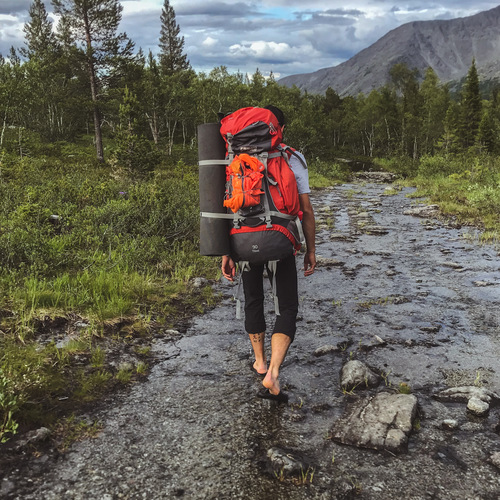 Photo #13806687