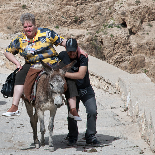 Photo #13806706