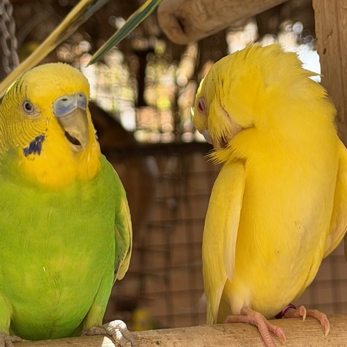 Photo #13806809