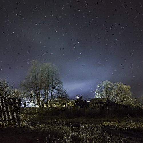 Photo #13806839