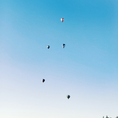 Photo #13806889