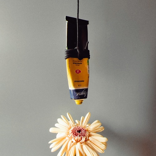 Photo #13806894