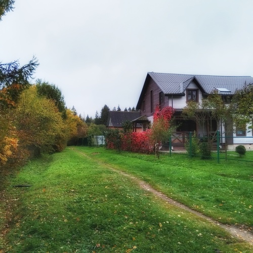 Photo #13806916