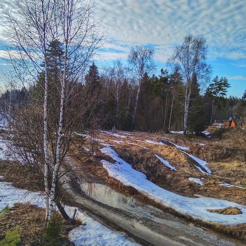 Photo #13806920