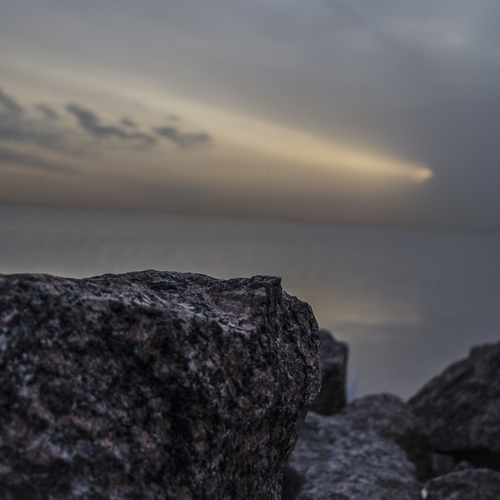 Photo #13806947