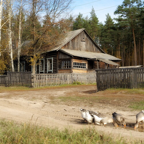 Photo #13806956