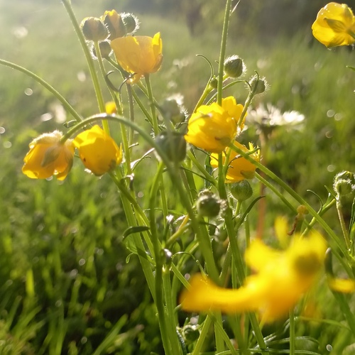Photo #13807008