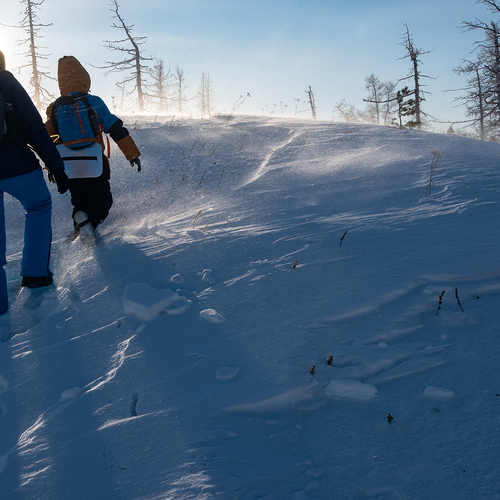 Photo #13807045