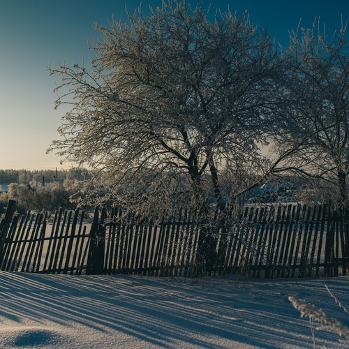 Photo #13807082