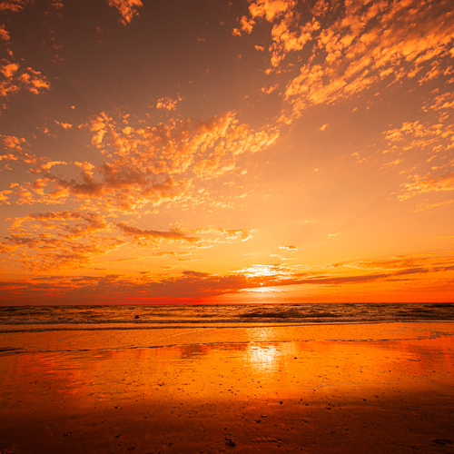 Photo #13807236