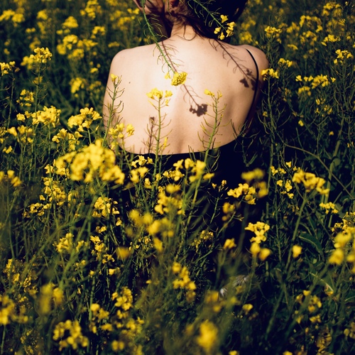 Photo #13807285