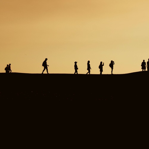 Photo #13807297
