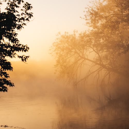Photo #13807344