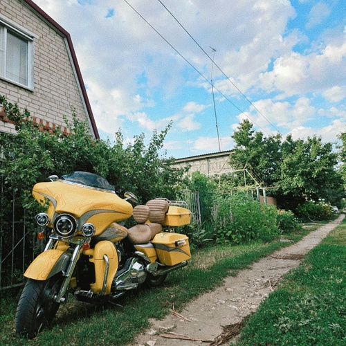 Photo #13807368