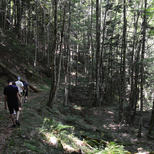 Photo #13807380