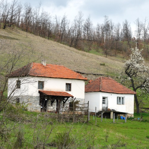 Photo #13807396