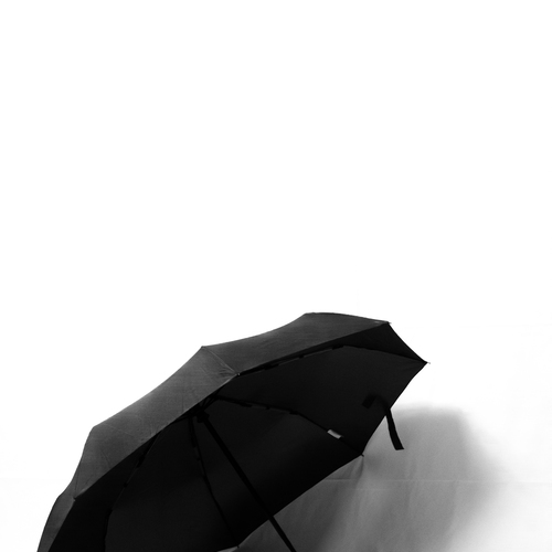 Photo #13807526