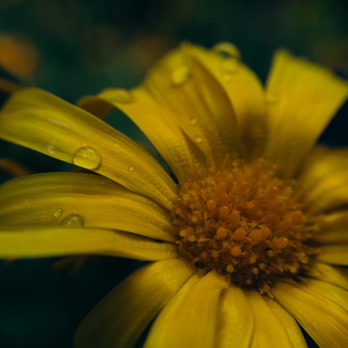 Photo #13807532