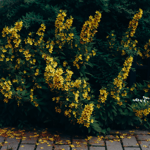 Photo #13807533