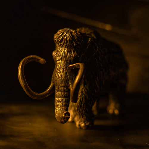 Photo #13807539