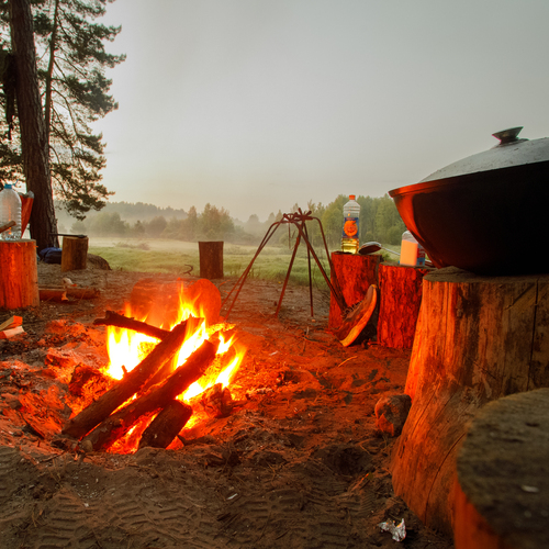Photo #13807591