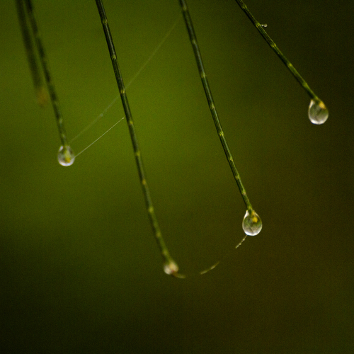 Photo #13807597