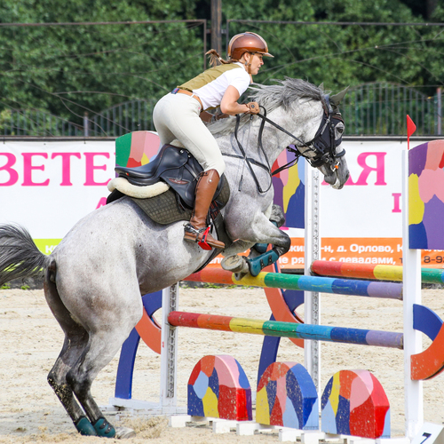 Photo #13807599