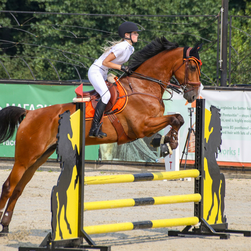 Photo #13807604