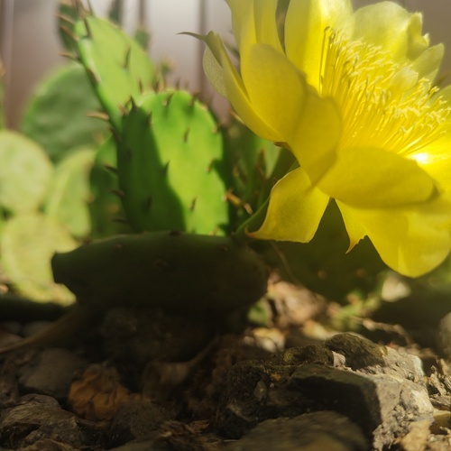 Photo #13807690