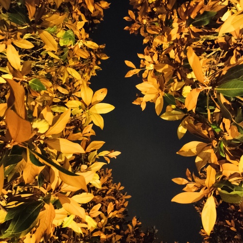Photo #13807692