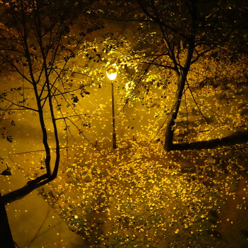 Photo #13807747