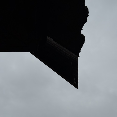 Photo #13807788