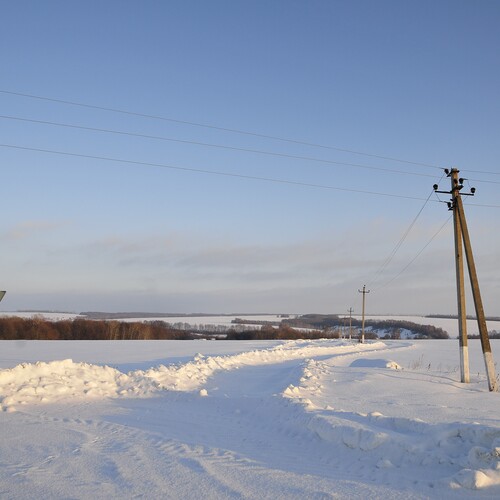 Photo #13807917