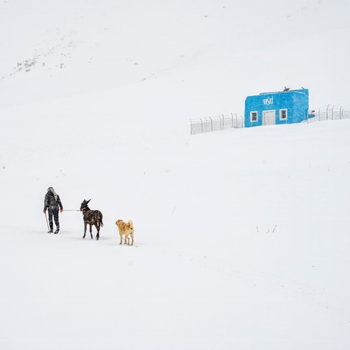 Photo #13807957