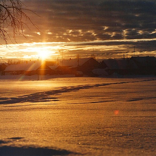 Photo #13807972