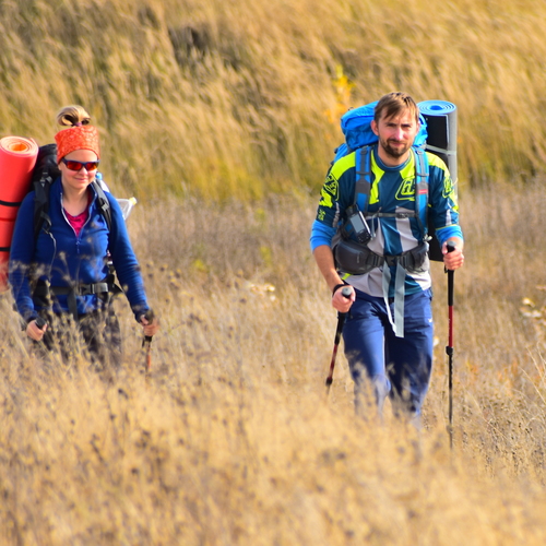Photo #13808047
