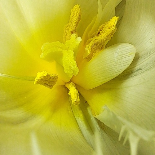Photo #13808107