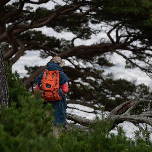 Photo #13808197