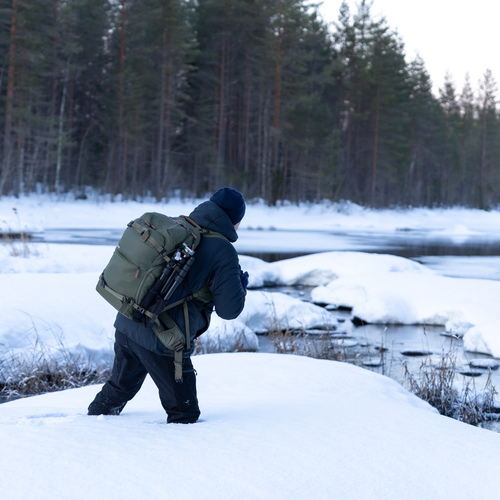 Photo #13808241
