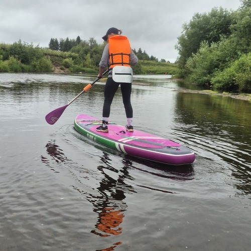 Photo #13808351