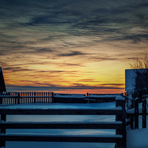 Photo #13808399