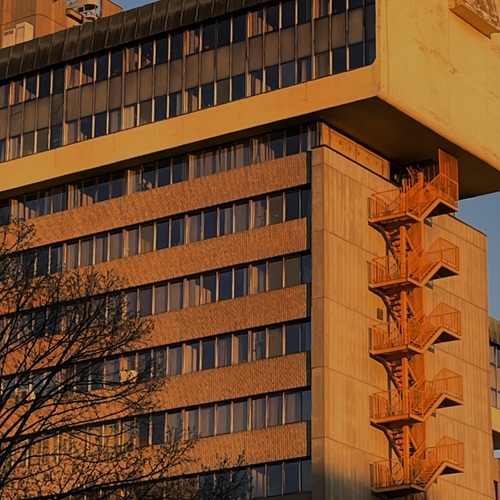 Photo #13808420