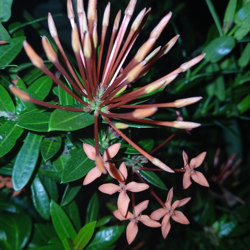 Photo #13808539