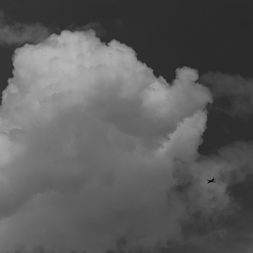 Photo #13808589