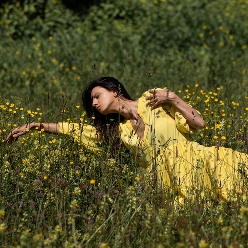 Photo #13808644