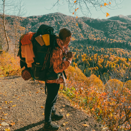 Photo #13808657